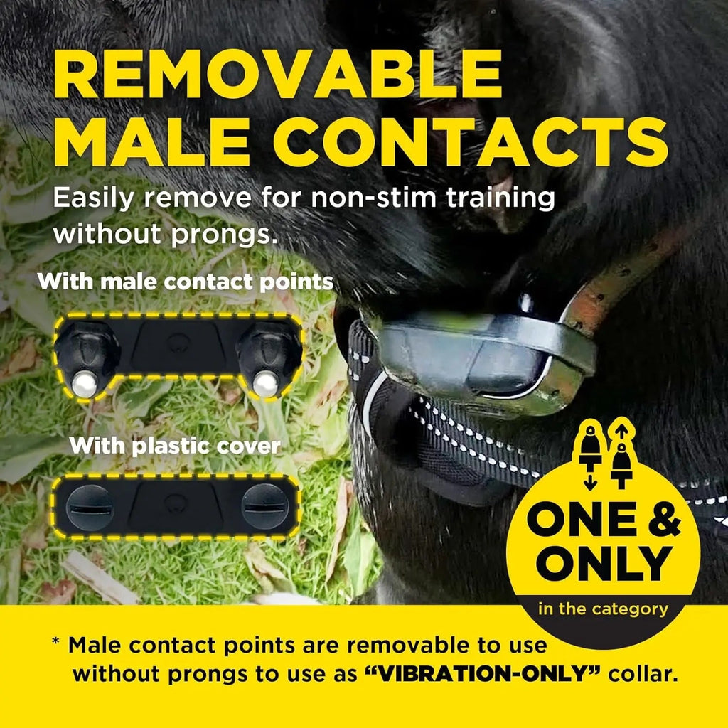 2 Dogs Training Collar Remote 1/2 Mile Waterproof LED Rechargeable Control