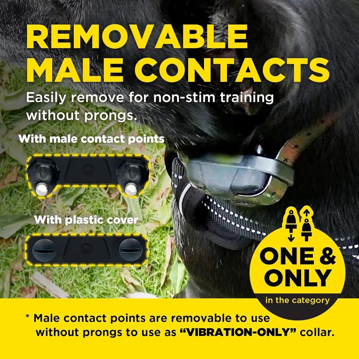 2 Dogs Training Collar Remote 1/2 Mile Waterproof LED Rechargeable Control